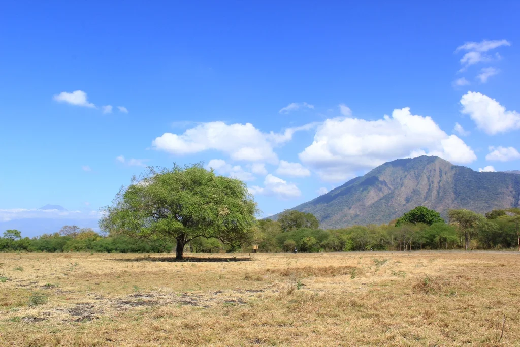 open trip ijen baluran 1hari 1 malam